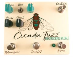 Cicada Fuzz